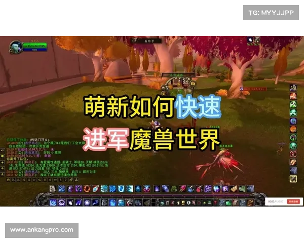 魔兽世界小地图关闭攻略